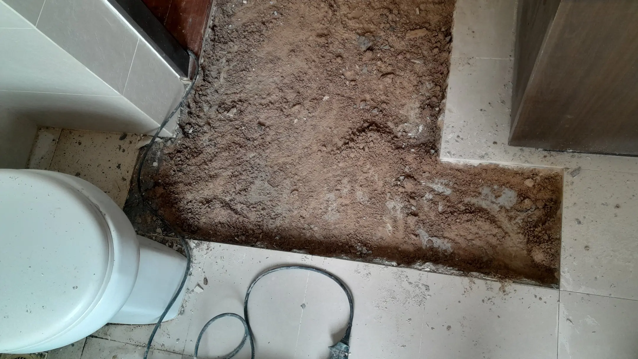 Kiara View Bathroom Floor Repair — Bathroom, Demolition