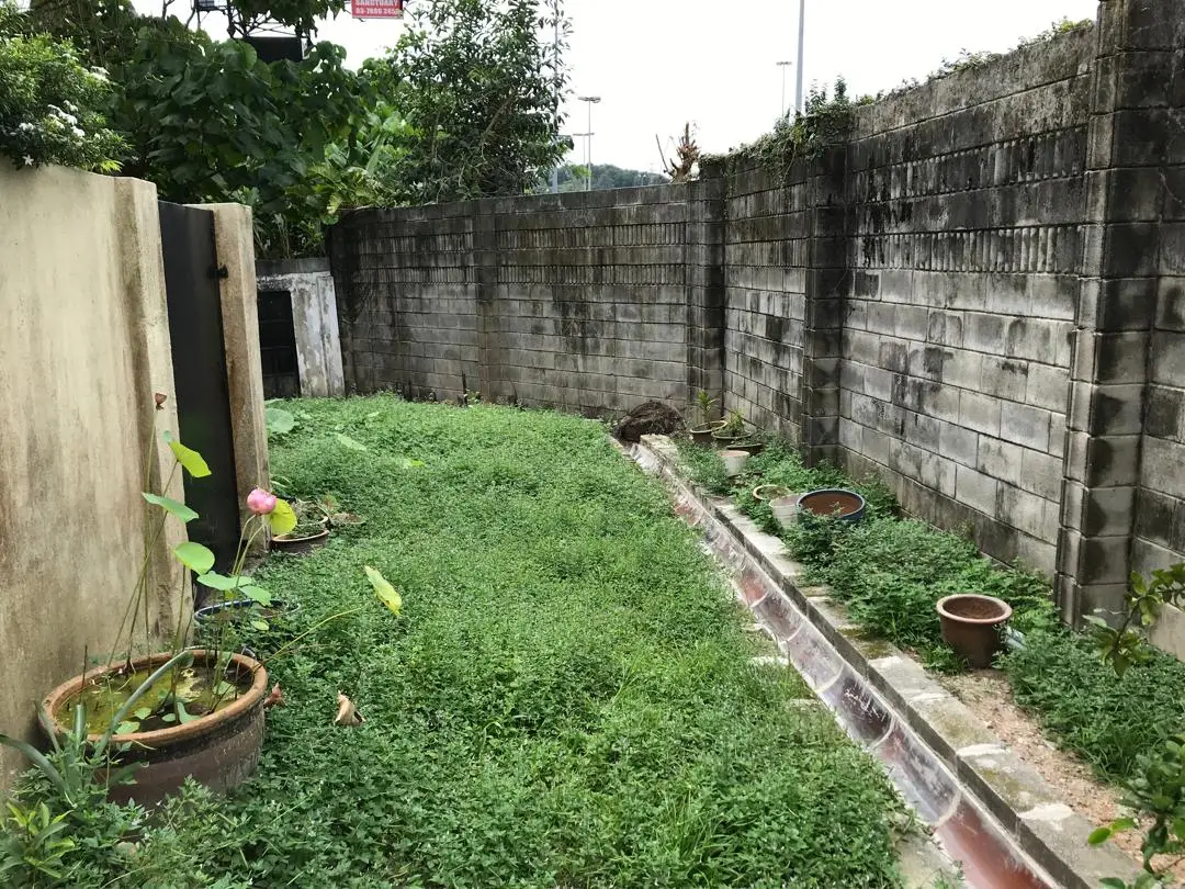 Sri Hartamas Full Property Renovation — Backyard, Before