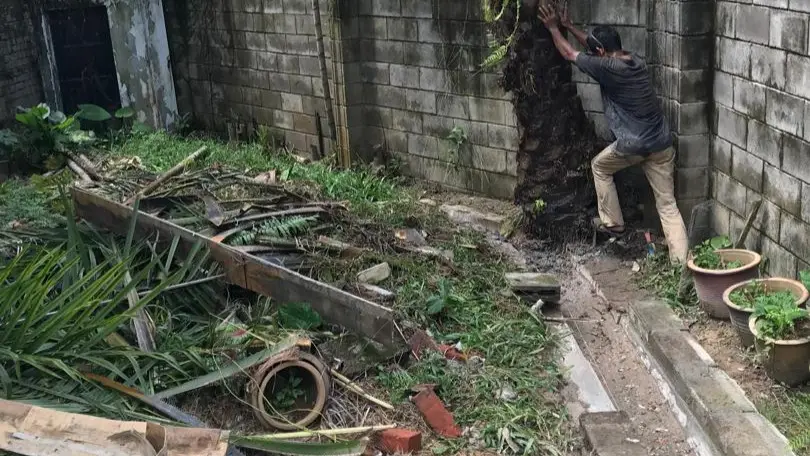 Sri Hartamas Full Property Renovation — Garden, After